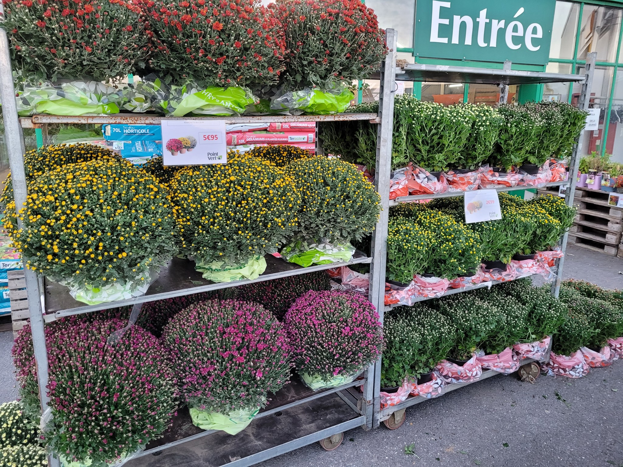 Fleurs de la Toussaint : Honorez vos proches avec Point Vert Ham et Chauny