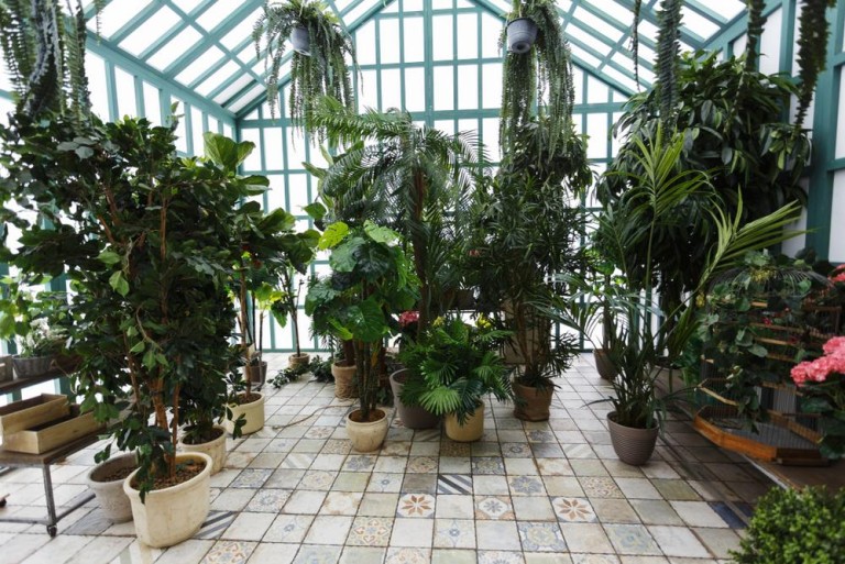 Jardinerie à Ham, tout pour réussir vos projets d'extérieur
