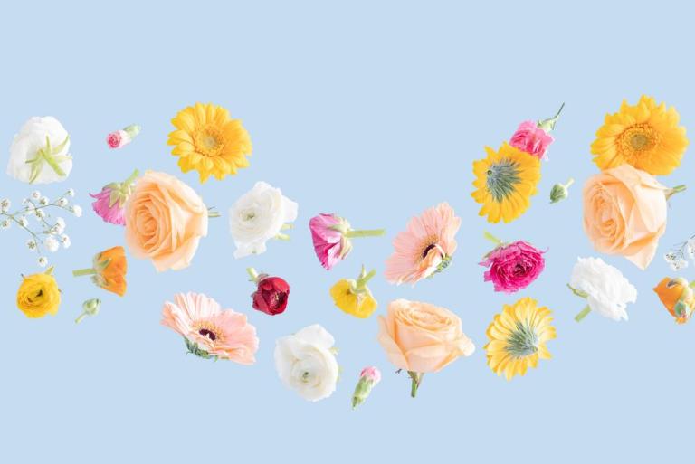 Compositions florales, les conseils du fleuriste à Ham