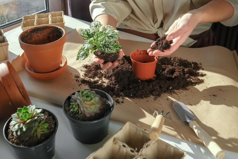 Terreaux et engrais à Ham, lesquels choisir pour votre jardin