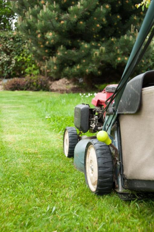Faut-il un matériel de jardinage adapté à Saint-Quentin ?